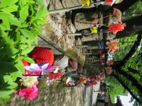 IMG_0461.JPG